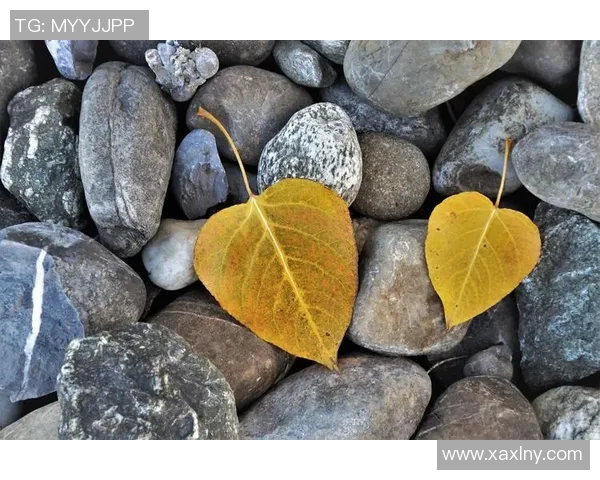 李丽的攀岩人生：在高峰之上与自我对话的深度探索