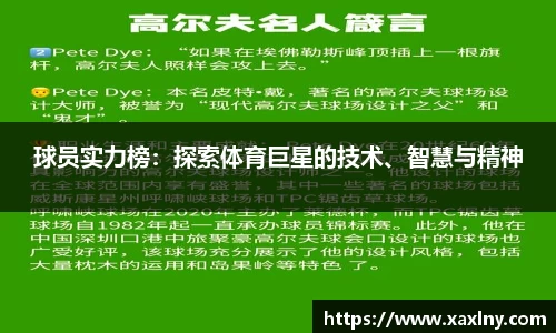 球员实力榜：探索体育巨星的技术、智慧与精神